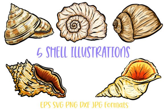 5 Seashell Shell Illustration SVG Logo: Coastal Design Versatility